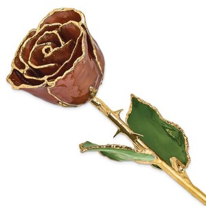 Lacquer Dipped Gold Trimmed Cinnamon Real Rose