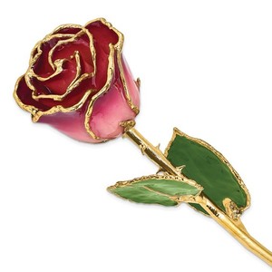 Lacquer Dipped Gold Trimmed Pink and Burgundy Real Rose