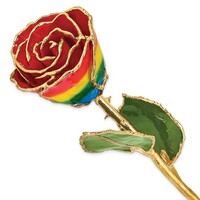 Lacquer Dipped Gold Trimmed Rainbow Real Rose