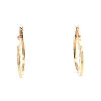 14kt Yellow Gold Fancy Hoop Earrings