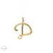 14K Yellow Gold "D" Initial Pendant 