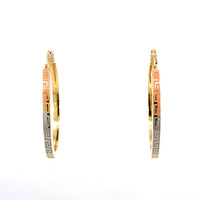 14kt Yellow Gold Fancy Hoop Earrings