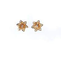 14k Tri-Color Flower Style Earrings 