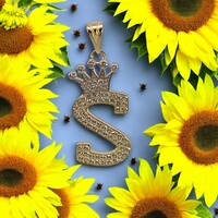 14Kt CZ Letter "S" w/ Crown Pendant