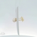 14K Yellow Gold 5.5mm Pearl Studs with Push Back